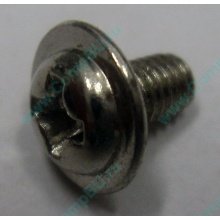 Компьютерный винт "малый" PW-M3x6mm (Томск)