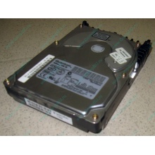 Жесткий диск 18.4Gb Quantum Atlas 10K III U160 SCSI (Томск)
