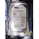 Б/У жёсткий диск Dell SATA (WD WD1601ABYS 7200 rpm) 3.5" HDD (Томск)