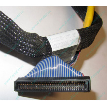 Кабель SCSI HP 166298-037 для HP ML370 G4 (Томск)