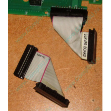 6017B0045701 Шлейф 24 pin для Intel C74974-401 T0043401-B01 корпуса SR2400 (Томск)