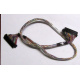 Intel 6017B0045301 в Томске, 68 pin SCSI кабель 26.5" / 57см для корзины HDD корпуса SR2400 (Томск)