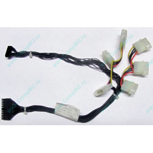 59P4789 FRU 59P4792 в Томске, кабель IBM 59P4789 FRU 59P4792 для серверов X225 (Томск)
