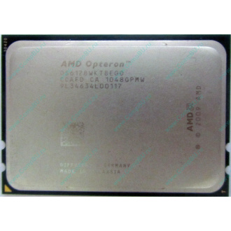 AMD Opteron 6128 OS6128WKT8EGO (Томск)