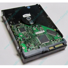 Жесткий диск 80Gb HP 5188-1894 9W2812-630 345713-005 Seagate ST380013AS SATA (Томск)