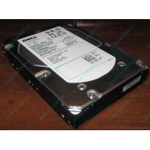 Жесткий диск 300Gb 15k Dell 9CH066-050 6G SAS (Seagate Cheetach ST3300656SS 15K.6) - Томск