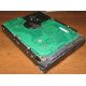 Жесткий диск 300Gb 15k Seagate Cheetach ST3300656SS 15K.6 Dell 9CH066-050 6G SAS (Томск)